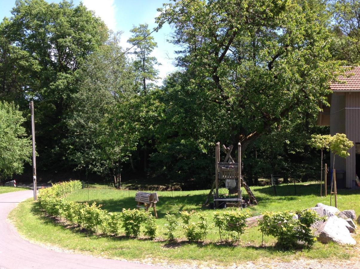 Ferienwohnung Casa Natura Reichelsheim Eksteriør billede
